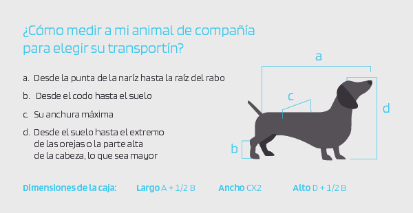¿Cómo medir a mi mascota para elegir su transportín? ¿Cómo medir a mi mascota para elegir su transportín?